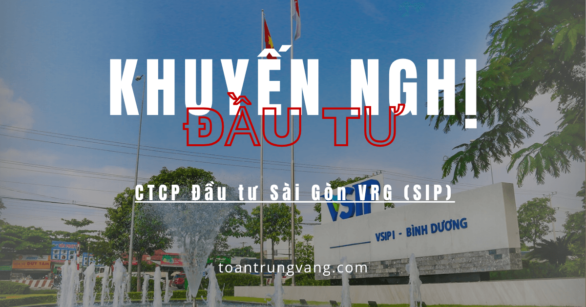 Giải mã Nghịch lý Cổ phiếu SIP: Dòng tiền bền vững và Biên an toàn tuyệt đối