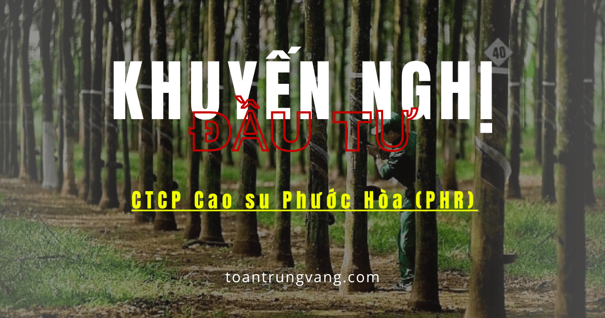 PHR: Chiến Lược Bứt Phá 2026-2027 – Chuyển Mình Thành Đế Chế Hạ Tầng Công Nghiệp