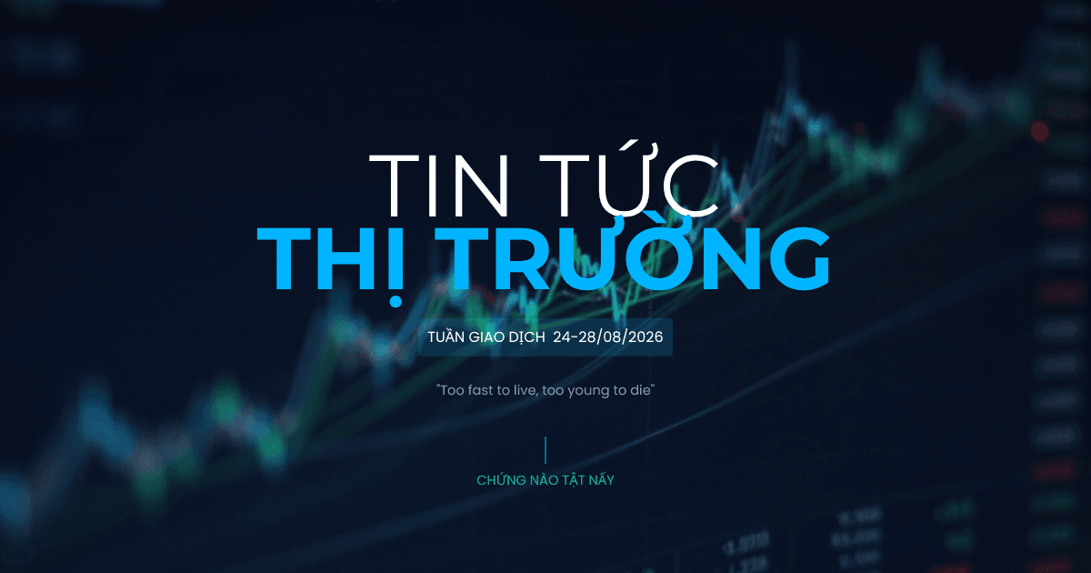 Nhận Định Thị Trường Chứng Khoán 24/08/2026: VN-Index Đón 'Cơn Mưa Rào'